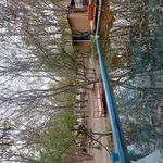 باغ رستوران توت فرنگی