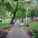 بوستان لاله