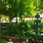 باغچه رستوران سعید