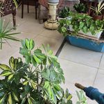 رستوران ایزی دیزی