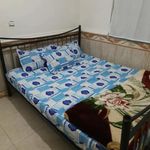 اجاره سوییت شیبک