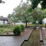 موسسه غیر انتفاعی شاندیز
