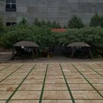 موسسه غیر انتفاعی شاندیز