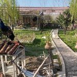 اقامتگاه مزرعه آفتابگردان