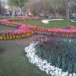 بوستان پرند
