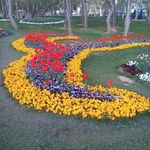 بوستان پرند