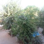 بیت تاریخی امام خمینی ره