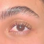 خدمات تخصصی مژه و ابرو