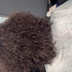 خدمات صافی و فر رشمه فاطمه کریمی