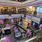 مرکز خرید پالادیوم تهران