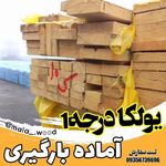 فروش چوب احمدی