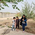 باغ ویلای امیریه