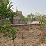 باغ ویلای امیریه