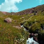 روستای آلوارس