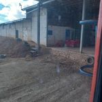 سردخانه تیمور طیبی