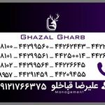 پیک موتوری غزال غرب