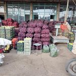 مرکز خرید و فروش پیاز