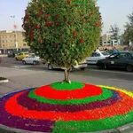 شهرک صنعتی محمود آباد اصفهان