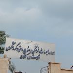 شبکه بهداشت