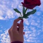تاکسی تلفنی آنلاین ساوه