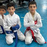 مربی کاراته کنترلی