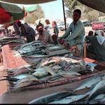 بازار ماهی چابهار