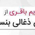 شرکت بهدیس تدبیر آتیه