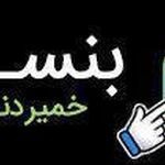 شرکت بهدیس تدبیر آتیه