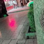 مرغ بریان حاج محسن