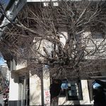بانک سپه شعبه یوسف آباد