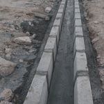 مجتبی عباسی