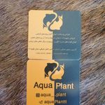 اکواریوم اکو پلنت