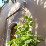 رستوران شمس العماره سنتی
