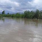 پیشرو گشت آزاد جزیره
