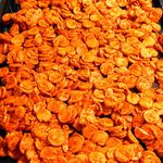 فست فود جوان۲