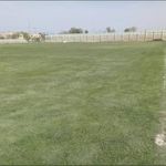 زمین چمن فوتبال