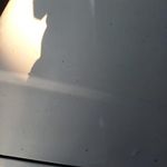 کارواش همراهان