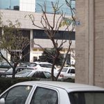 بانک صادرات  بلوار پیامبر (4364)