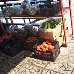 بازار میوه و تره بار باهنر