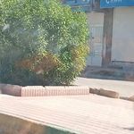 امين