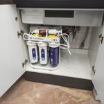 مسعود اسمعیل فینی