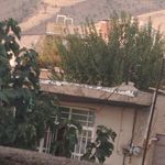 سوپرمارکت همایون