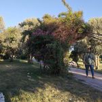 بوستان طبیعت