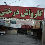 کارواش درختی