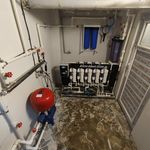 مسعود اسمعیل فینی