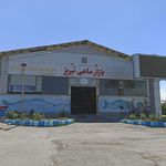 بازار بزرگ ماهی