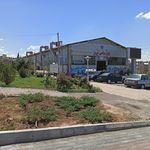 بازار بزرگ ماهی