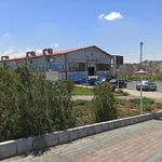 بازار بزرگ ماهی