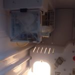 حسین شکوری مقدم