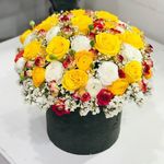 گلفروشی استبرقی